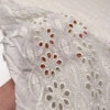 Floral And Oval Pattern Embroidered Eyelet Cotton Voile - Light Cream