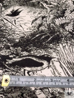 Toile De Jouy Landscape Printed Cotton Lawn - Midnight Brown / White-Beige 17 Toile De Jouy Landscape Printed Cotton Lawn - Midnight Brown / White-Beige -Fabrics And Fabrics Store 20275 6