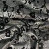 Metallic Floral Cut Panné Velvet - Silver / Black