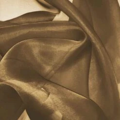 Silk Organza - Deep Camel